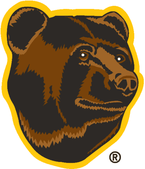 Boston Bruins 1995 96-2006 07 Alternate Logo iron on paper